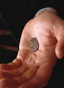 K novému insolvenčnímu zákonu