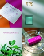 Michal Richtr: Projekt prodává i logo