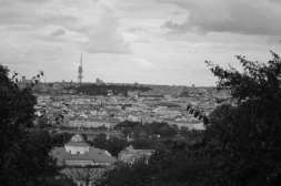 Ubohá Praha, chudák primátorka