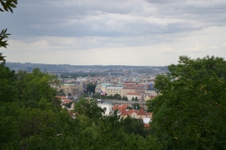 Zdravotnictví a nemovitosti